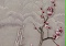 梅花鹿